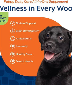NaturVet All-In-One Puppy Daily Care, 6-In-1 Support Dog Soft Chews to Help Bones, Joints, Digestion, Teeth, Cognition, and More, Hickory Smoked Bacon Flavored Pet Supplement for Puppies, 60 Count Jar