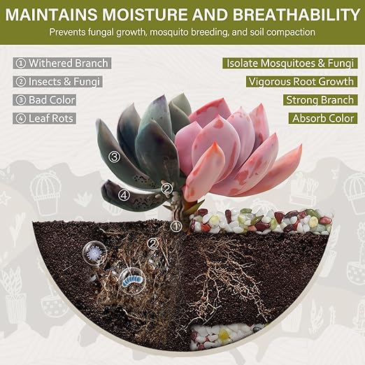 NUPICK 6 lbs Pebbles for Indoor Plants, 1/5 Inch Pea Gravel for Fish Tank, Polished Decorative Rocks for Succulent, Natural River Stones for Vases, Cactus, Landscaping, Bird Bath, Colorful Mixed