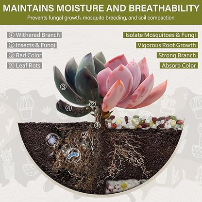 NUPICK 3 lbs Pebbles for Indoor Plants, 1/5 Inch Pea Gravel for Fish Tank, Polished Decorative Rocks for Succulent, Natural River Stones for Vases, Cactus, Landscaping, Bird Bath, Colorful Mixed