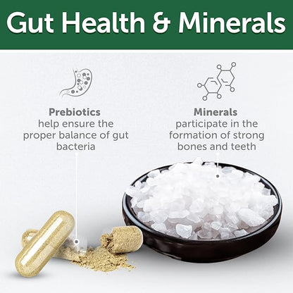 Nature's Protection Cat Dental Treats - Crunchy Oral Care Chews for Cat Teeth Cleaning for Adult Cats - No Bad Breath, Less Hairball (Superior Care - Poultry, 2.64 oz)