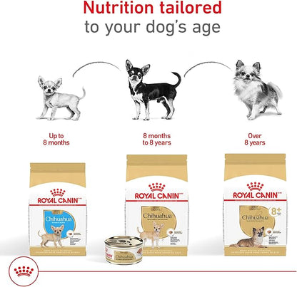 Royal Canin Chihuahua Adult 8+ Breed Specific Dry Dog Food for Senior Dogs, 2.5 lb. bag