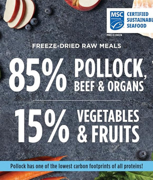 Instinct Freeze Dried Raw Meals, Natural Dry Dog Food, Grain Free - Wild Caught Pollock, 14 oz. Bag