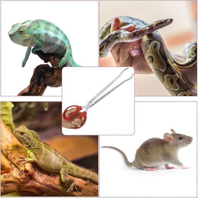 15 Inch Reptile Feeding Tongs, Extra Long Large Snake Feeding Tweezers, Curved or Straight Design Heavy Duty Stainless Steel Feeding Tongs for Ball Python Accessories Aquascape Maintenance