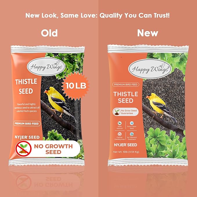 Nyjer/Thistle Seeds Wild Bird Food - 10 Pounds I No Grow Seed I Bird Seed for Wild Birds