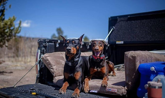 Barker Beds Orthopedic SUV Dog Bed XL Large Dogs - Memory Foam Dog Mattress with Washable Cover - Therapeutic Waterproof Pet Bed for Joint Support - Machine Washable Pet Beds - Made in USA (Khaki)