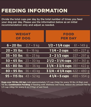 Wellness CORE Grain-Free High-Protein Dry Dog Food, Natural Ingredients, Made in USA with Real Meat, All Breeds, For Adult Dogs (Original Turkey & Chicken, 12-Pound Bag)