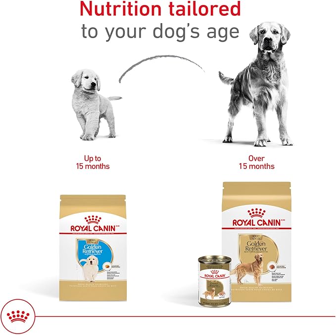 Royal Canin Breed Health Nutrition Golden Retriever Puppy Dry Dog Food, 30 lb Bag