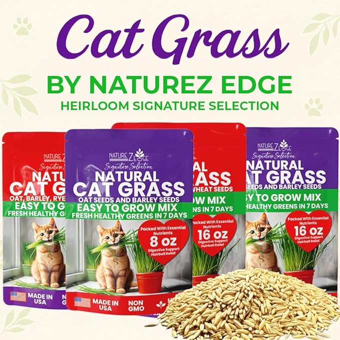 NatureZ Edge Cat Grass Seeds & Catnip Seeds - 3 Pack Variety Kit, Cat Grass for Indoor Cats, Oat & Barley Seeds for Planting, Cat Plant, Indoor Cat Grass Kit, hierba para Gatos