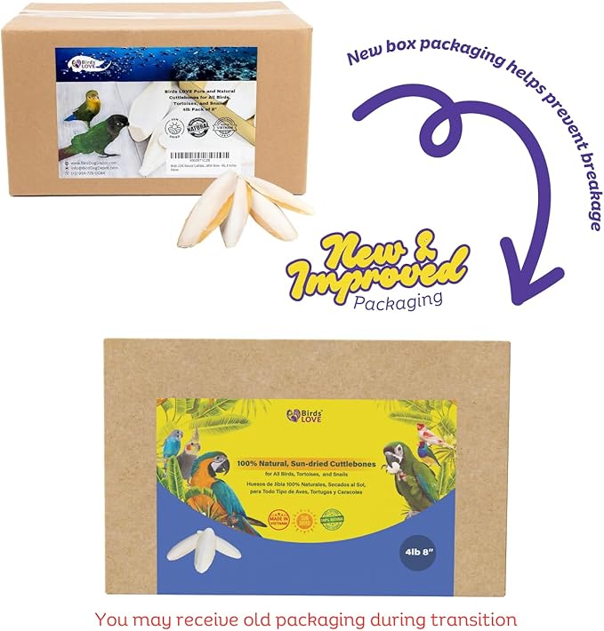 Birds LOVE Natural Cuttlebone – Premium Calcium for Cockatiel, Parrots, Tortoise, Snails, Crabs and Chinchillas - Pure Cuttlebone for Birds - Parakeet Food and Bird Treats - 4lb, Size 7.5 to 8"