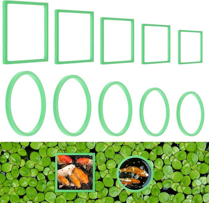 Bewudy 10PCS Fish Feeding Rings Sets, Aquarium Floating Plant Corral Fish Tank Feeding Circle Aquarium Feed Circle Round Feeder Ring Square Floating Plant Ring for Intercepts Float Plants(Green)