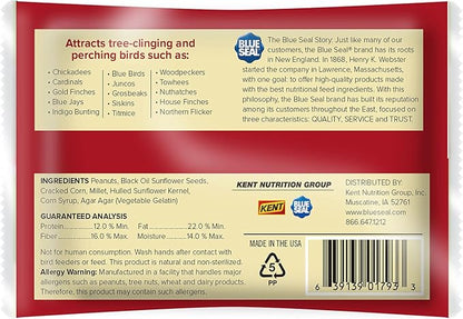 Blue Seal Woodpecker Suet Treat Bars for Wild Birds - No Mess Suet Feed, Food for Woodpeckers, Cardinals, Sparrows & More - 8 oz Bird Seed Cakes (Pack of 12)