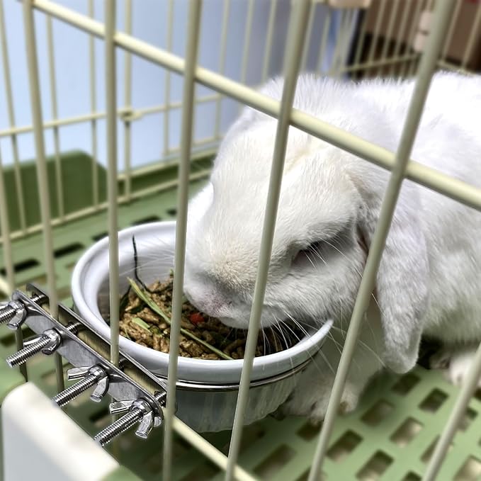 Rabbit Hanging Ceramic Bowl, Removable Cage Feeder Thick Ceramic Bowl with Stainless Steel Support Ring Pet Water Food Bowl for Small Animal Chinchilla Ferret Small Dog & Cat (4.92 * 1.97”)