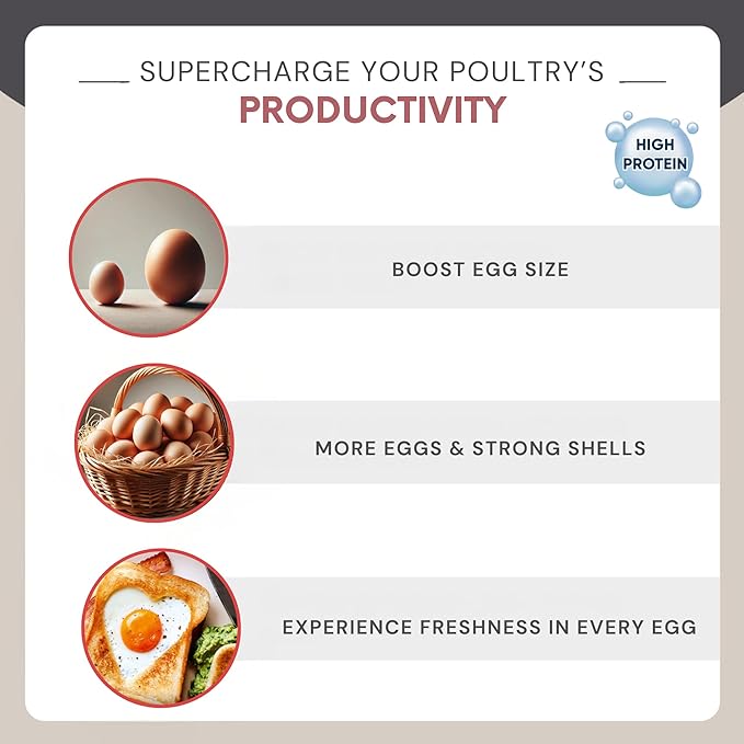 Dried Mealworms 1 lb - Chicken Food for Laying Hens - Bird Seed for Wild Birds - Wild Rabbit Food Outdoor - Duck Treats for Pet Ducks - Turtle Food for Small Turtles - Parrots Food, Snail Food