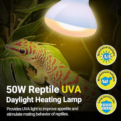REPTI ZOO Reptile Heat Lamp, 2 Pack 50W Daylight Basking Spot Lamp for Reptiles UVA Daylight Heating Lamp Bulb Basking Light for Bearded Dragon, Tortoise, Geckos, Chicken