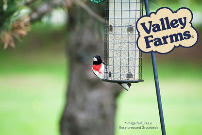 Valley Farms Safflower Seed Wild Bird Food 4 LB 2-Pack (8 LB Total) for Outside Feeders, Safflower Bird Seed for Cardinals, Grosbeaks, and Buntings, Cardinal Birdseed for Outside Feeders