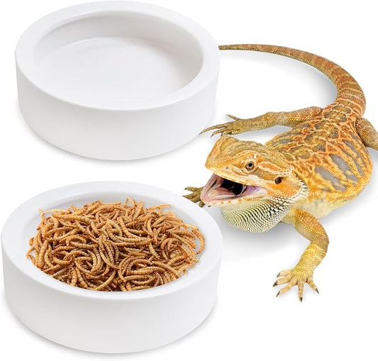 Tfwadmx 2 Pack Reptile Food Bowl, Ceramic Water Feeder Bowl, Reptile Worm Feeding Dish for Lizard Turtle Bearded Dragon Anoles Crested Gecko Hermit Crab Leopard Gecko Chameleon Corn Snake