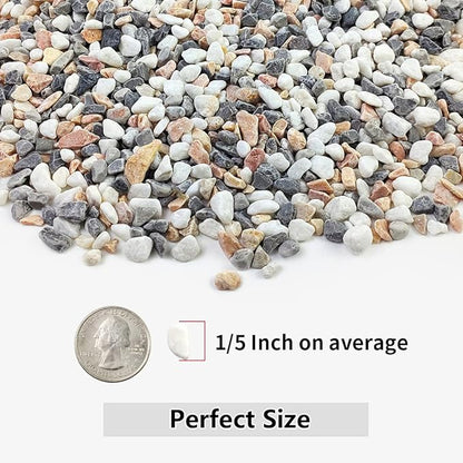 2LB Succulent and Cactus Gravel Pebbles, 1/5 Inch Natural Decorative Polished Stones, River Rocks for Vases, Aquariums, Terrarium and Outdoor Gardening, Mixed Color