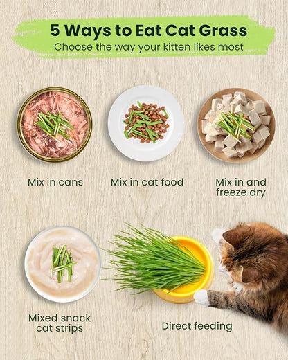 Cat Grass Kit for Indoor Cats - 3 Pack | Organic Wheat Grass Seeds, Grows in 7 Days | Digestive Health & Reduces Hairball | Gift for Cat Lovers with BPA-Free Planters, Soil & Non-GMO Seeds