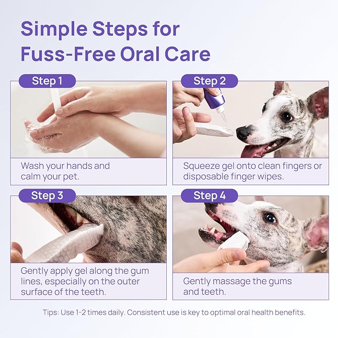 HICC PET Teeth Cleaning Gel for Dogs and Cats, Vet-Recommended Dog Dental Care Toothpaste for Breath Freshener, Ggingivitis Treatment, Prevent Infection & Bad Breath, Plaque & Tartar Remover, 2 Fl Oz