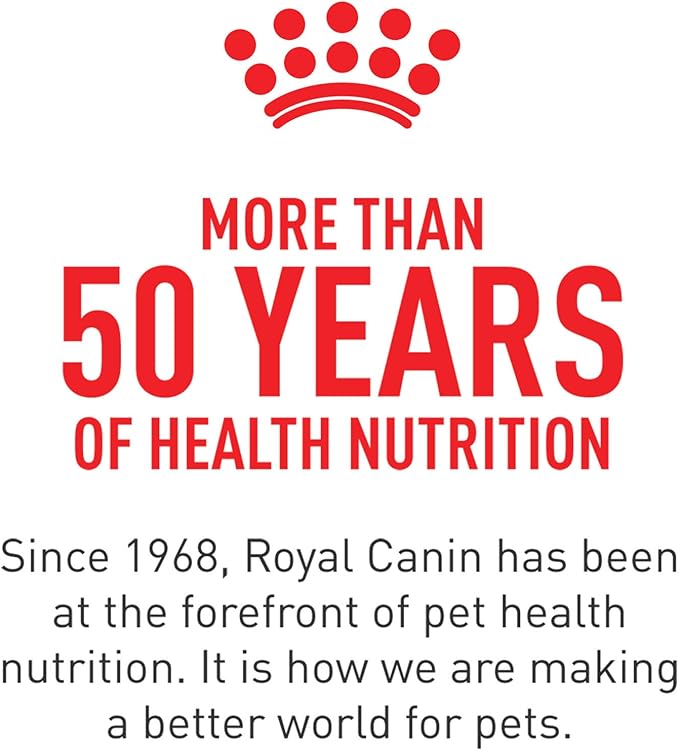 Royal Canin Breed Health Nutrition Poodle Adult Dry Dog Food, 10 lb Bag