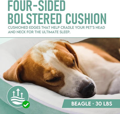 OhGeni Orthopedic Dog Couch Pet Sofa Large Sized Cat Beds with Comfort Foam Support, Soft Comfortable Fabric, Machine Washable Waterproof Removable Cover, 35-Inch (Turquoise)