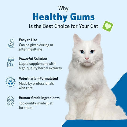 Pet Wellbeing Healthy Gums for Cats - Gums & Dental Health, Oral Care, Healthy Breath, Coenzyme Q10, Zinc Oxide, Calendula, Marshmallow Root - Veterinarian-Formulated Holistic Topical 4 oz (118 ml)