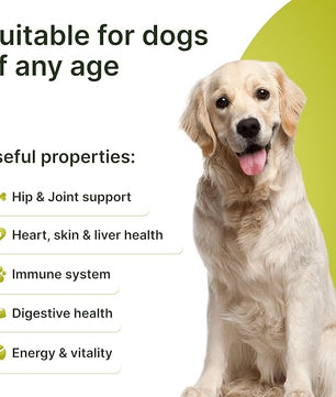 23-in-1 Multivitamin for Dogs – Soft Chews with Glucosamine, Chondroitin, MSM, Probiotics, Cranberry, Biotin, Zinc, Salmon Oil, Vitamins B, C, E – Hip & Joint, Skin, Digestive & Immune Support