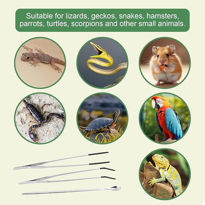 3Pcs Reptile Feeding Tool Set, 2 Tipped Tongs and 1 Feeding Spoon, Stainless Steel Crested Gecko Feeding Spoon for Geckos, Lizards, Bearded Dragons, Small Animals (Silver)