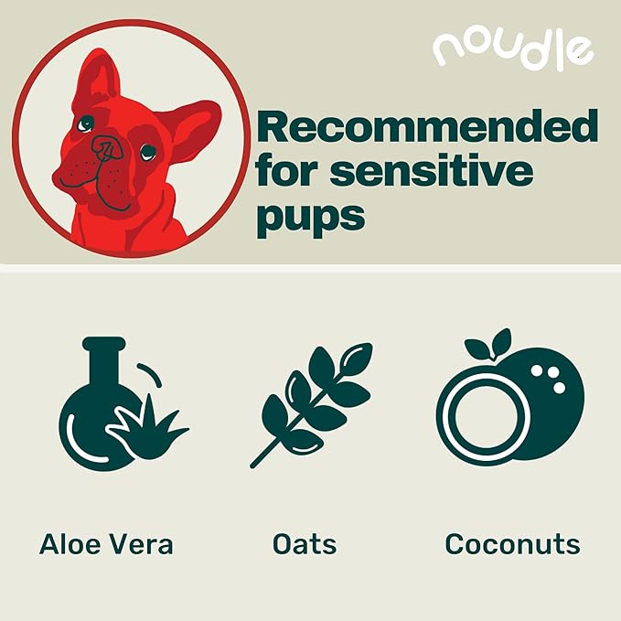 Pets - Fragrance Free Shampoudle, 16oz, Moisturizing and Gentle Natural pet Shampoo with Aloe, Coconut, and Oatmeal