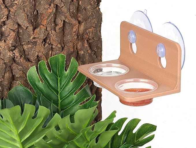 Crested Gecko Feeding Ledge with 10PCS Gecko Food Dish - Wooden