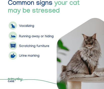 Virbac Zenifel Cat Spray for Managing Stress-Related Behaviors in Kittens & Cats - Quick-Acting - Ideal for Unexpected Stressful Situations - 1 Bottle