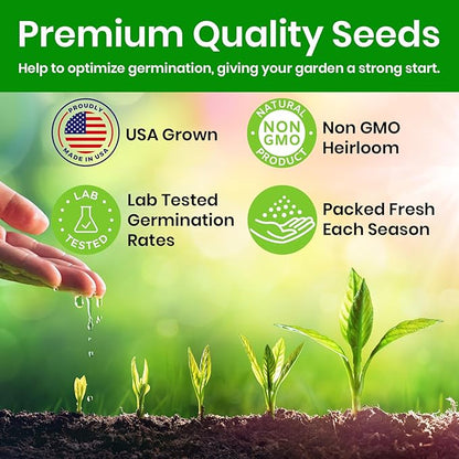 NatureZ Edge Cat Grass Seeds & Catnip Seeds - 3 Pack Variety Kit, Cat Grass for Indoor Cats, Oat & Barley Seeds for Planting, Cat Plant, Indoor Cat Grass Kit, hierba para Gatos