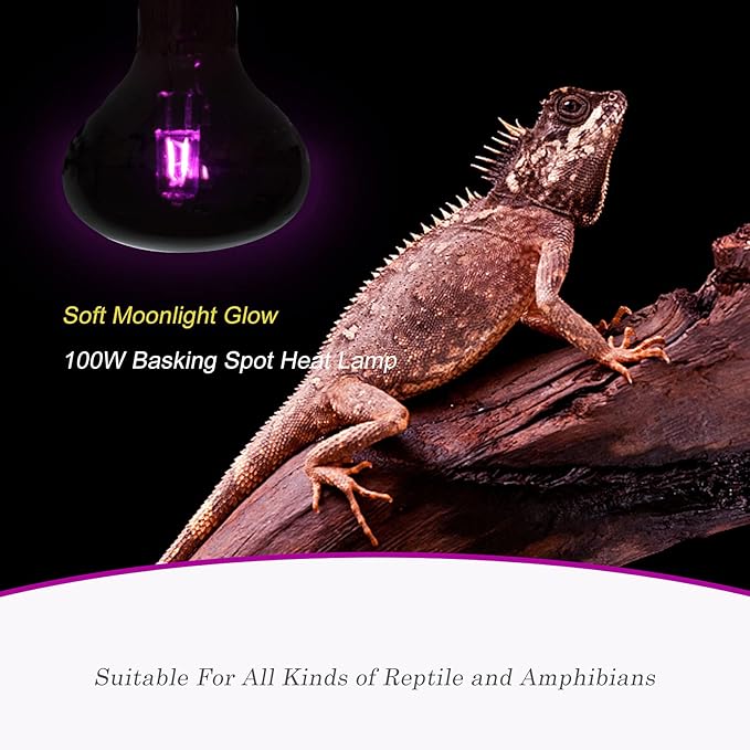 WUHOSTAM 100W Reptile UVA Infrared Moonlight Night Heat Lamp,Basking Spot Bulb Black Glass Cover for Lizard, Chameleon, Snake, Aquarium Reptile, Amphibian,2 Pack