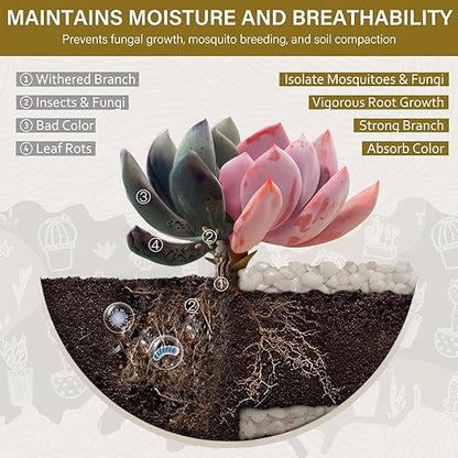 NUPICK 12 lbs Pebbles for Indoor Plants, 3/8 Inch Pea Gravel for Fish Tank, Polished Decorative Rocks for Succulent, Natural River Stones for Vases, Cactus, Landscaping, Bird Bath, Aquarium, White