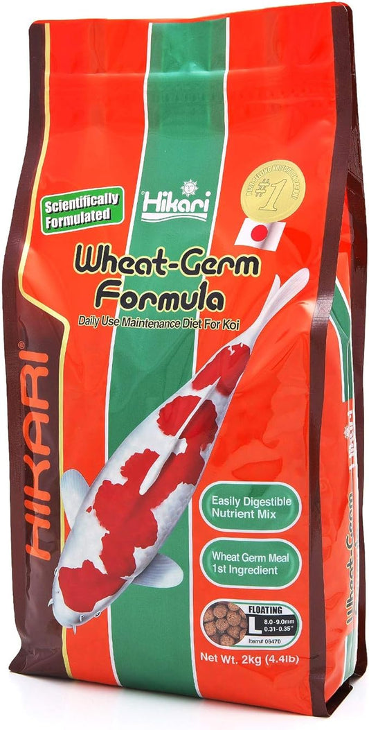 Hikari WheatGerm Fish Food