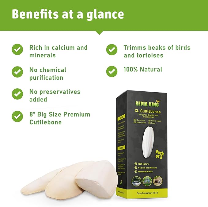 Extra Large - 100% Natural Calcium Supplement - Premium Cuttlebone Perfect for Birds, Tortoises, Snails, Reptiles - Pack of 3