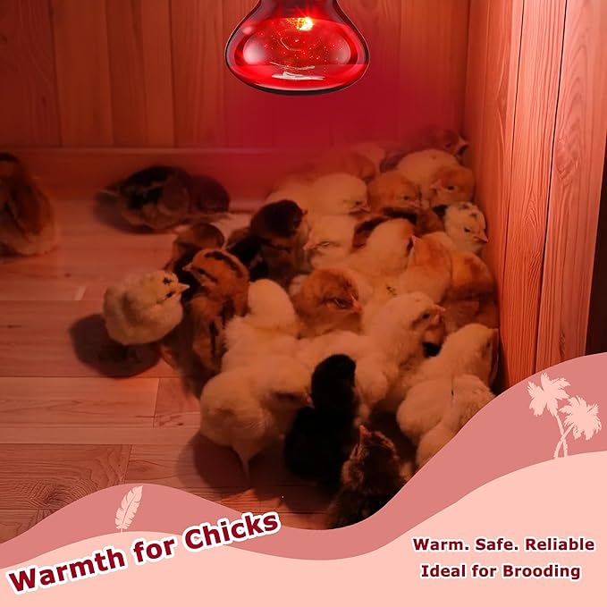 75W Infrared Basking Spot Light Bulbs for Reptiles & Amphibians – Red Heat Lamp for Bearded Dragons, Turtles, Snakes & Chicks, Great for Terrarium Heating & Brooder Warmth | 2 Pack