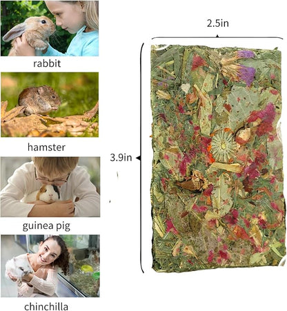 Bunny Toys 10 Pieces Chew Toys Teether Totoro Dutch Pig Guinea Pig with Flower Timothy Grass Snack (Medium)