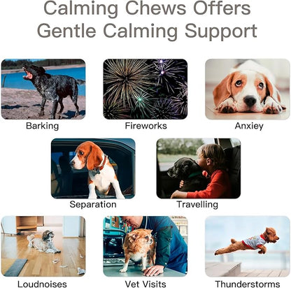 Advanced Calming Chews for Dogs - 240 Count Flavored Soft Chews for Anxiety, Stress & Barking Relief -, Pet Supplement, All Ages & Sizes - (Chicken)