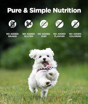 ZEAL New Zealand Canned Wet Dog Food – High Protein, Pure Nutrition, Grain-Free with Superfoods (Lamb, 6oz Can, 12-Pack Tray)
