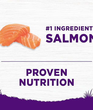 Wellness Complete Health Sensitive Skin & Stomach Dry Dog Food, Wholesome Grains, Natural, Salmon & Rice Recipe, (5-Pound Bag)