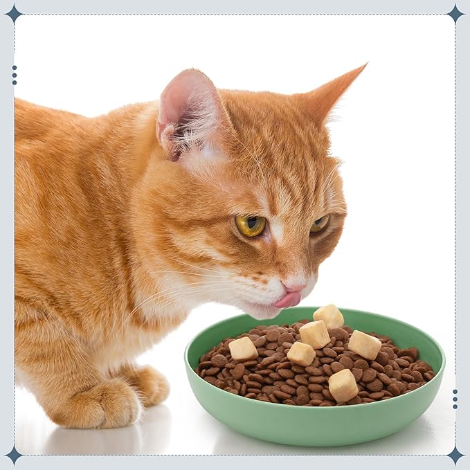 Tioncy 24 Pcs Fatigue Relief Cat Bowl 5.5 Inch Shallow Cat Food Dish Wide and Small Pet Wet Plate Wide Stray Wet Feeding Bowl for Ferrets Feral Short Legged Kitten, Wheat Straw(Blue,Green,Classic)