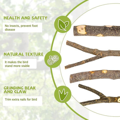 Natural Wood Bird Perches for Cage, Parrot Perch Stand & Platform, Bird Cage Accessories for Parakeets, Cockatiels, Conures, Lovebirds (Brown, Essential Perch Bundle - 5PCS)