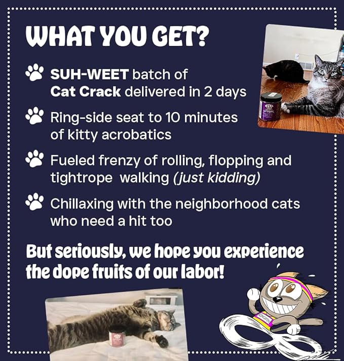 Cat Crack Catnip, Zoomie-Inducing Cat Nip Blend, North American Made & 100% Natural, Safe & Non-Addictive Catnip Treats Used to Supplement Cat Nip Toys, Spray, & Accessories (20 Cups)