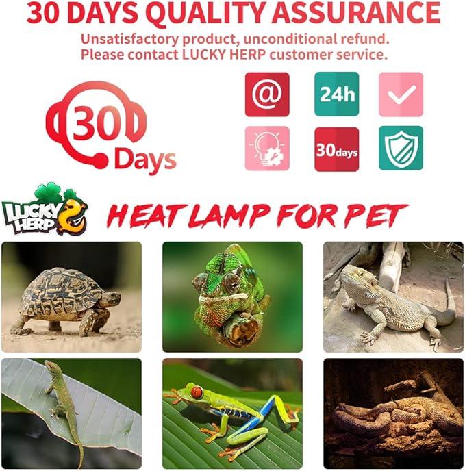 LUCKY HERP 50W Reptile Heat Lamp Bulbs 2 Pack, Reptiles & Amphibians Infrared Basking Spot Lamp, Heat Light Bulb for Turtle, Bearded Dragon, Lizard