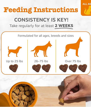 Zesty Paws Vet Strength Probiotics for Dogs, Digestive Health & Gut Flora Support, Dog Supplements, 90 Count