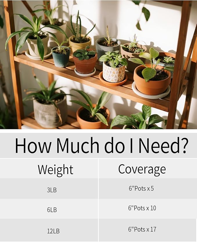 6LB White Succulent & Cactus Gravel Pebbles - 1/4-3/8 Inch Natural Polished River Rocks, Decorative Stones for Plants, Terrariums, Vases, Aquariums & Outdoor Gardening