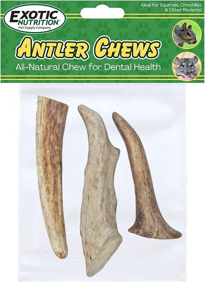 Exotic Nutrition Antler Chews - Safe Small Animal Chew - Natural Source of Healthy Minerals - Chinchilla, Hamster, Degu, Prairie Dog, Squirrel and Other Chewing Pets