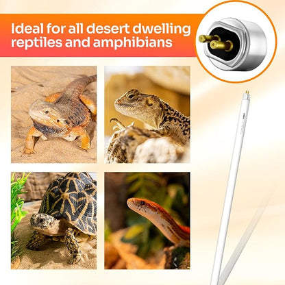 Oiibo T5 HO 10.0 UVB Lamp Bulb 22" L 24 Watts, Reptile UVB Lamp Tube for Bearded Dragon