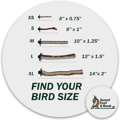 Superoost Manzanita Pumice Pedicure Perch- Easy to Install Bird Cage Accessories for Healthy Feet, Nails and Beak - Natural Bird Perches Imitates Birds' Life in The Wild - M 10"